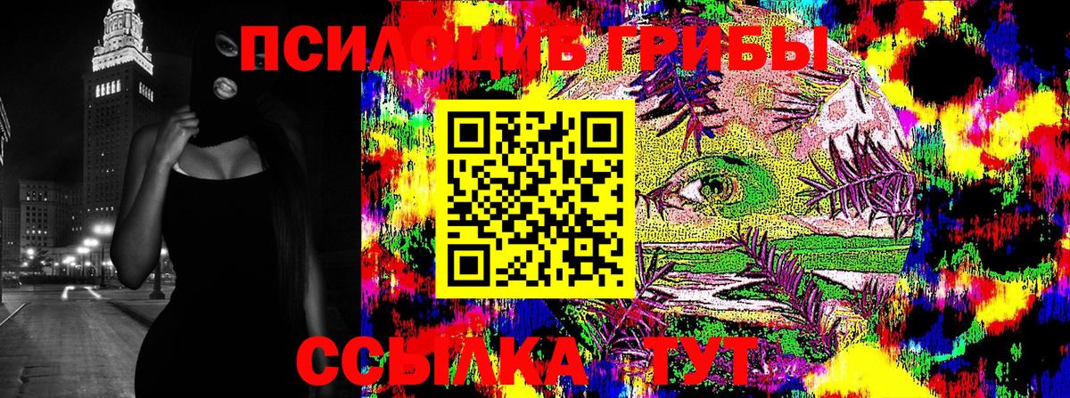 Новоуральск  Псилоцибиновые грибы GOLDEN TEACHER  Вход с VPN 